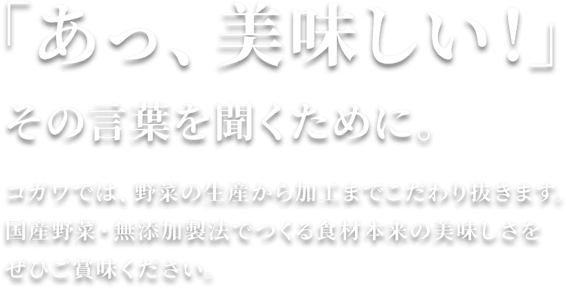 「あっ、美味しい！」その言葉を聞くために。コガワでは、野菜の生産から加工までこだわり抜きます。国産野菜・無添加製法でつくる食材本来の美味しさをぜひご賞味ください。